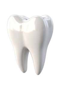 pngtree-tooth-3d-illustration-rendering-png-image_11618075